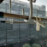 探偵ナイトスクープのヤングケアラー報道が炎上していた件について